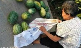 礼县吃瓜网红是谁啊最新消息,揭秘幕后真相与最新进展！”